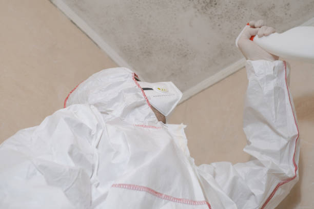 Best Attic Mold Removal  in Farmington, MO