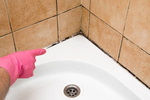 Best Emergency Mold Removal  in Farmington, MO
